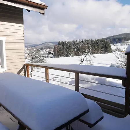 La Jonquille Jacuzzi Et Sauna * Xonrupt-Longemer