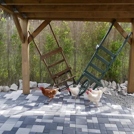 Chalet Spa Sauna Hammam La Jonquille *