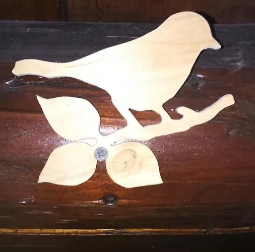 Chalet Spa Sauna Hammam La Jonquille Xonrupt-Longemer