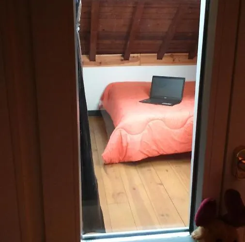 Chalet Spa Sauna Hammam La Jonquille 克松吕-隆日梅