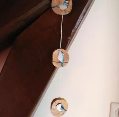 Chalet Spa Sauna Hammam La Jonquille *