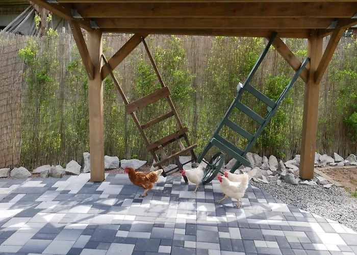 Chalet Spa Sauna Hammam La Jonquille *